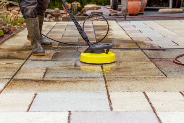 Best Spring Cleaning  in Ina, IL